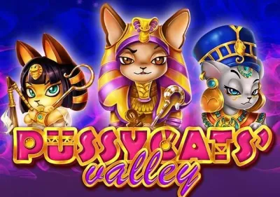 Pussycats' Valley game cover